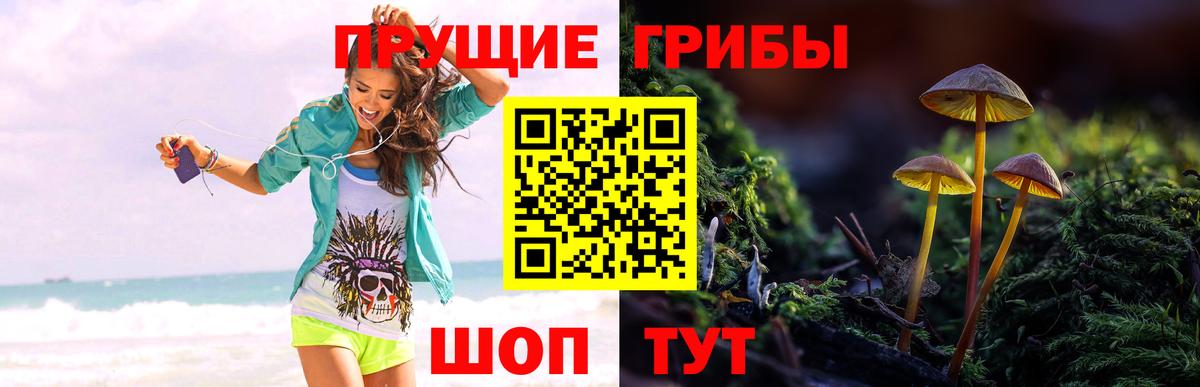 Галлюциногенные грибы Magic Shrooms Батайск